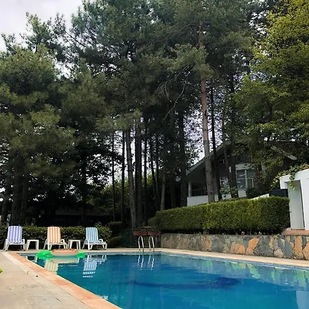 Nest Villa