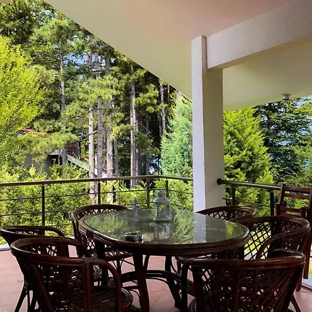 Villa Nest Sapanca
