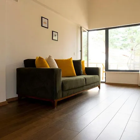 Nest Villa *